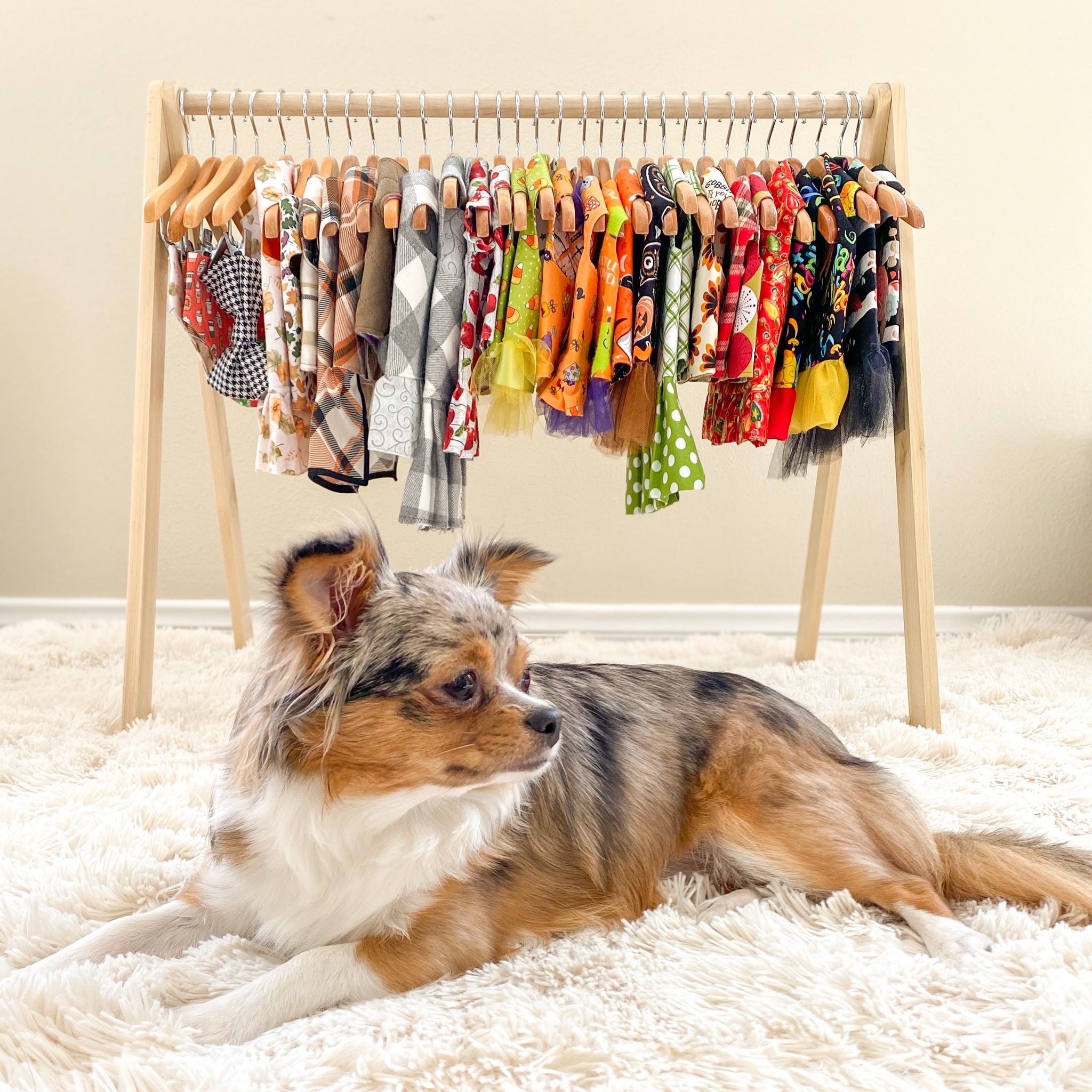 24 Dog Clothes Clothing Rack Biscuit the Boots