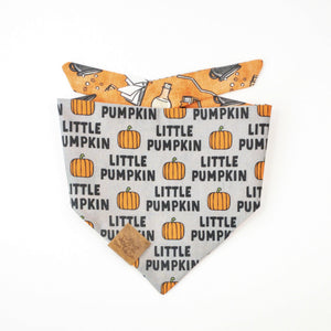 Reversible Bandana - Little Pumpkin